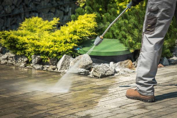 Best Gutter Cleaning  in Tok, AK