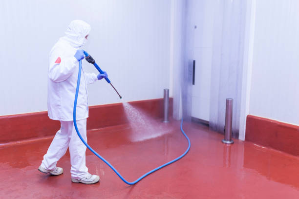 Animal Enclosure Cleaning in Tok, AK