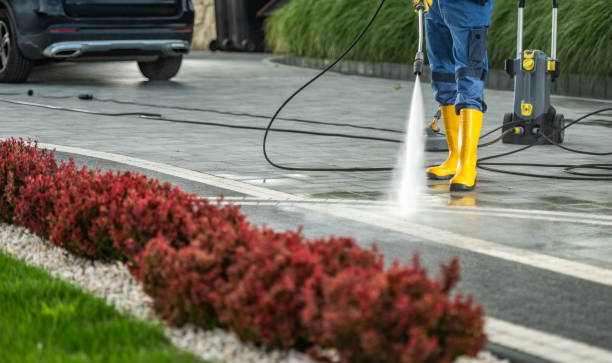Best Pool Deck Cleaning  in Tok, AK
